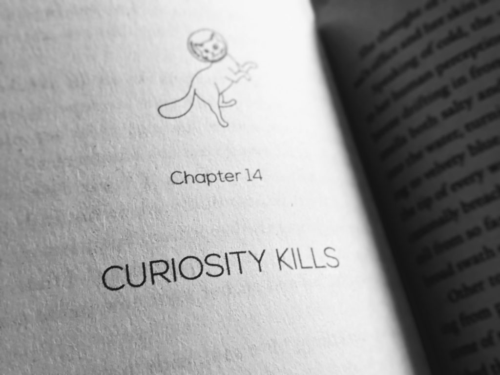 page from book showing "curiosity kills"