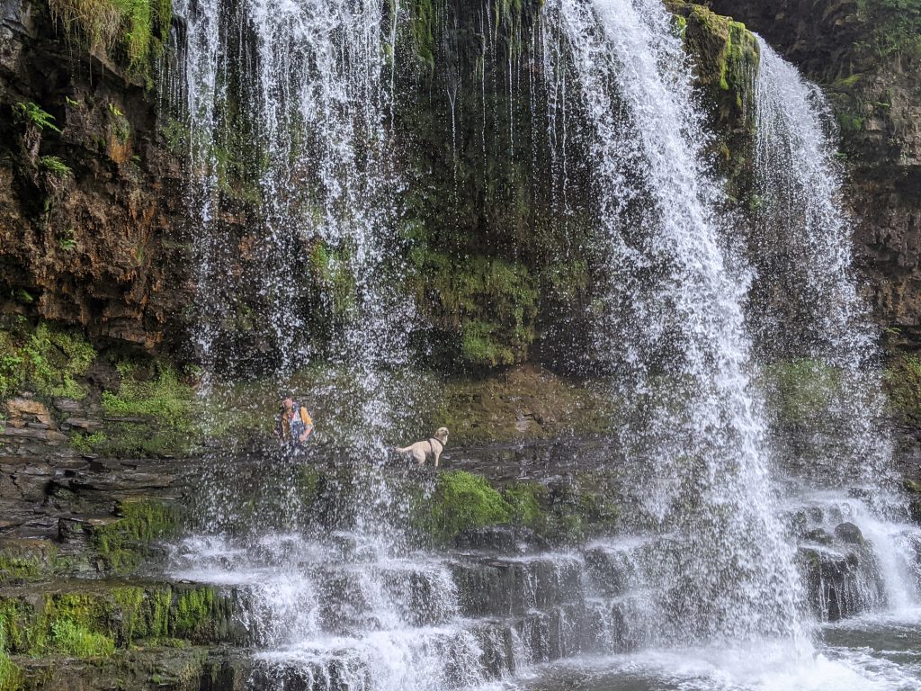 Scully the Labrador under a waterfall at a long distance