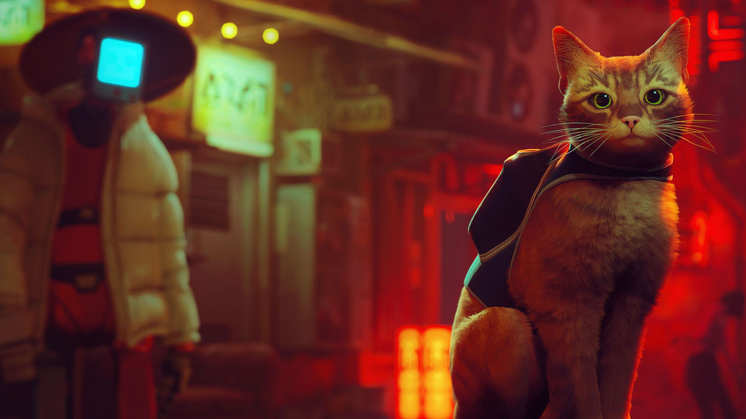 Digital artwork for Stray game showing a ginger cat in a backpack and a robot in the background.