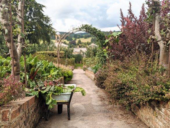 Chatsworth - the kitchen garden looking down over stables, wheelbarrow in foreground with produce inside
